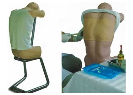 SYL/CK812 背部(胸部)穿刺訓(xùn)練模型